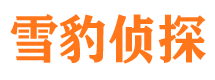 花溪侦探公司